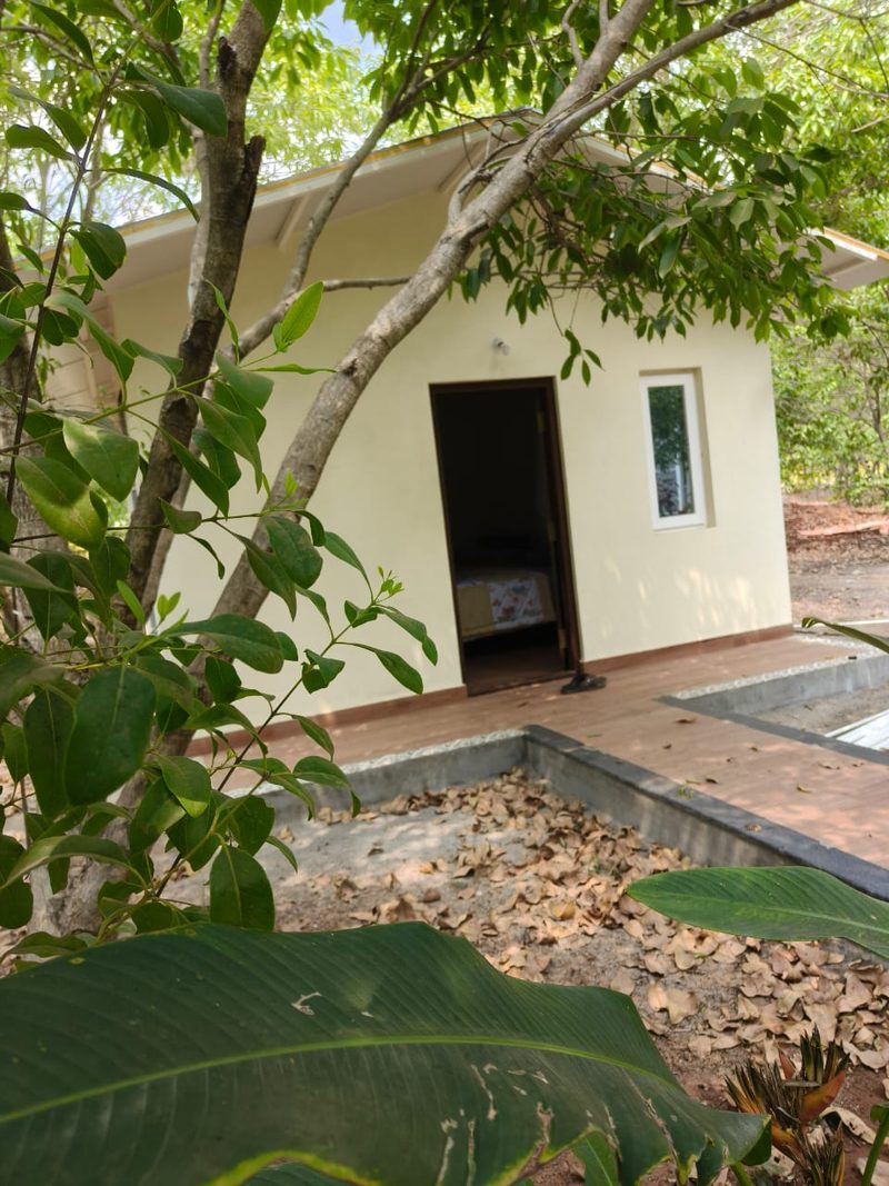 Standard Four-Sharing Rooms