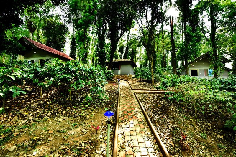 Finca Homestayz