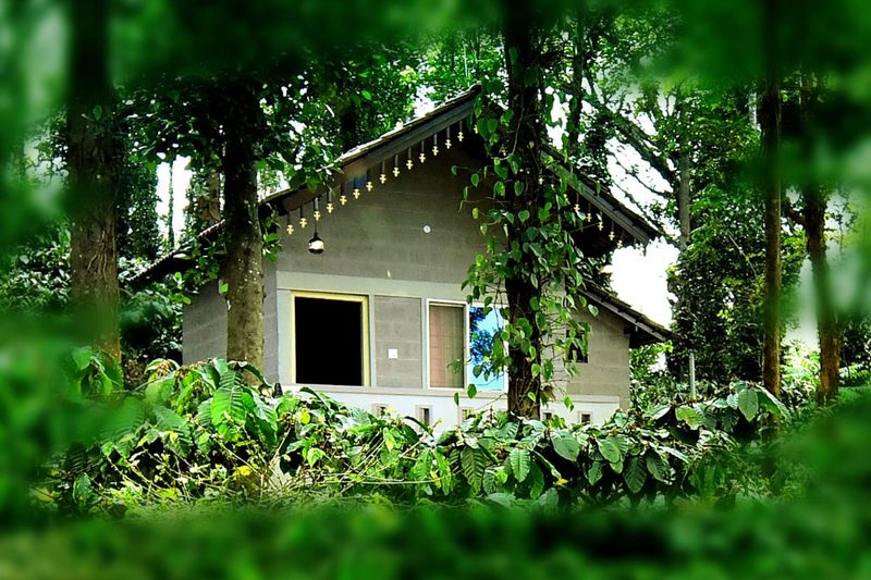 Finca Homestayz