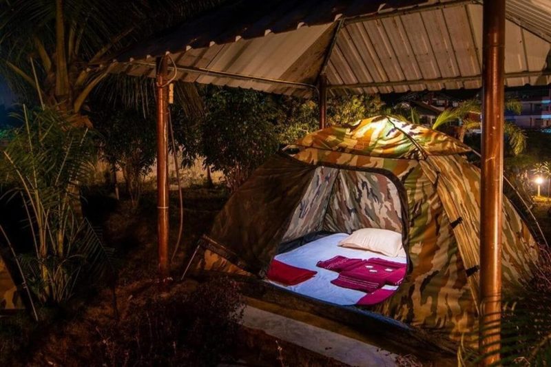 Jungle Stay