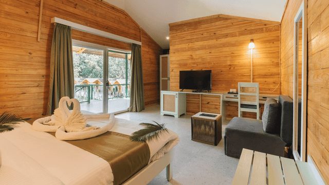 Suite room photo