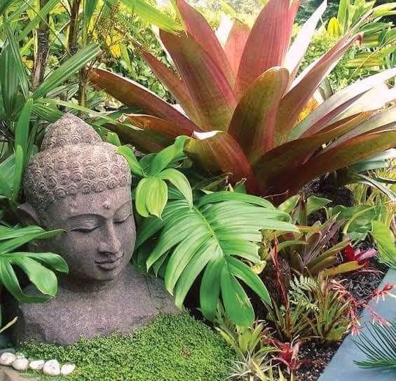 Hemavathi Nature Stay