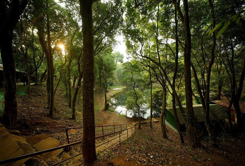Murkannu Valley Adventure Stays