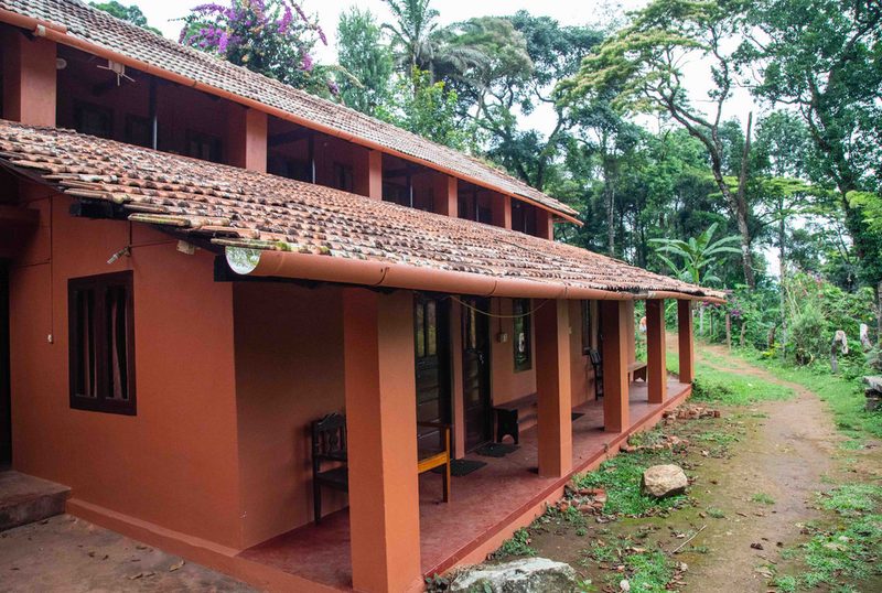 Backpacker Rooms accommodation