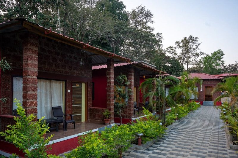 Wild Wings Dandeli