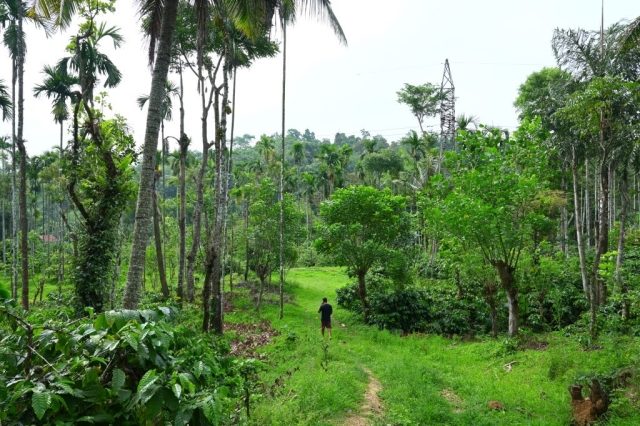 Giridarshini Home Stay