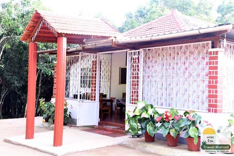 Bird's Nest Homestay