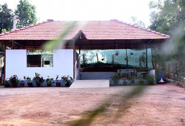 Bird's Nest Homestay