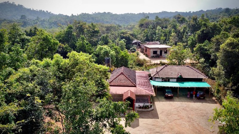 Bird's Nest Homestay