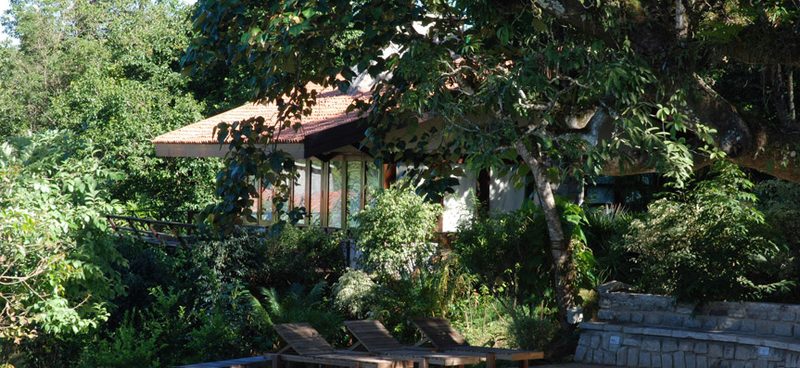 Flameback Lodges