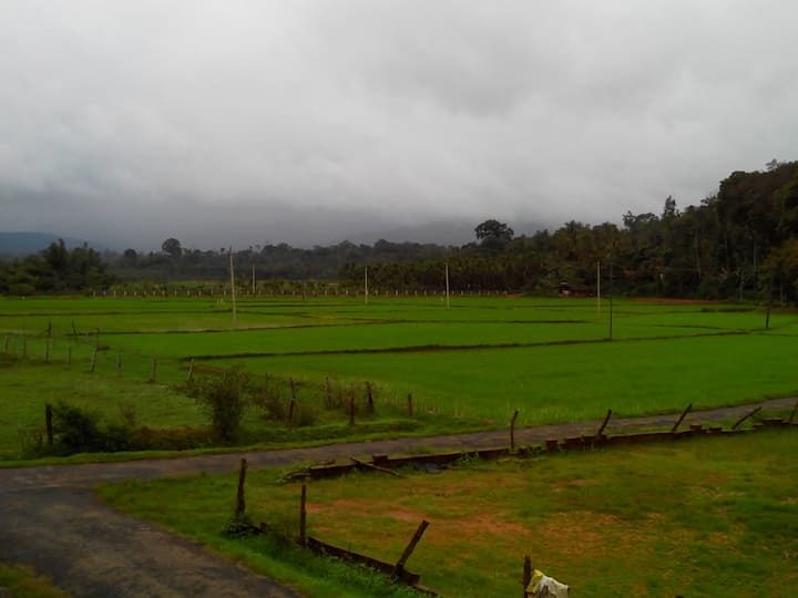Comfy HomeStay