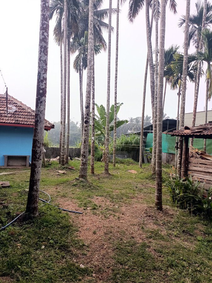 Acchannas - Heritage Homestay