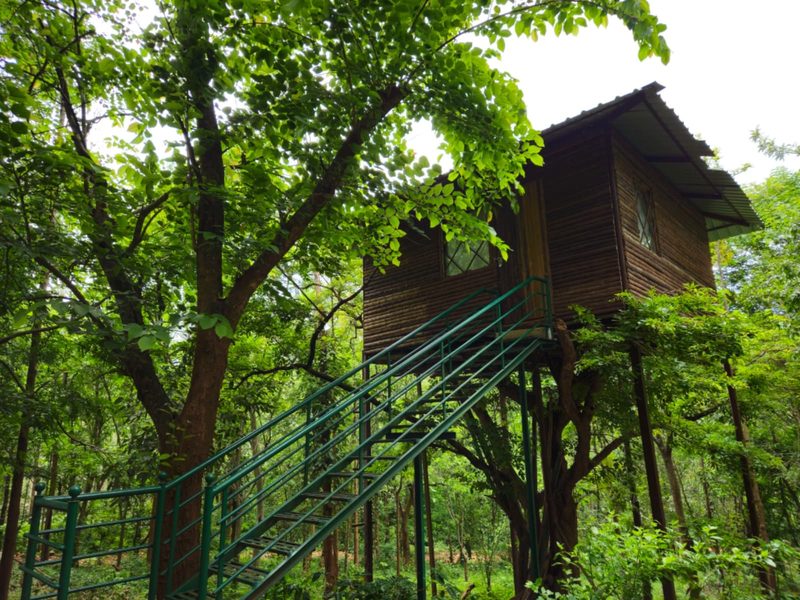 Tree House (Bird View) – A Higher Perspective