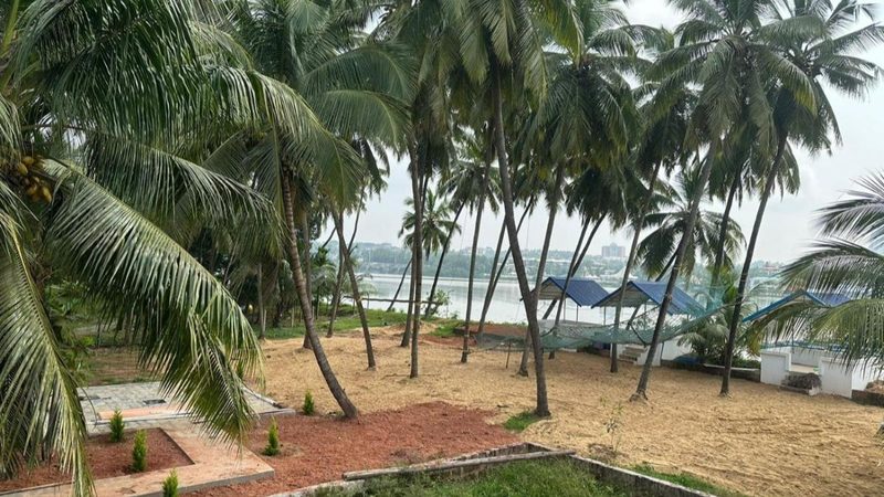 CRADLE N PALMS