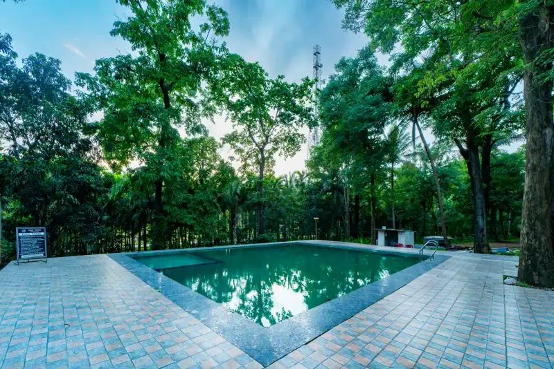 High Trees Jungle Stay