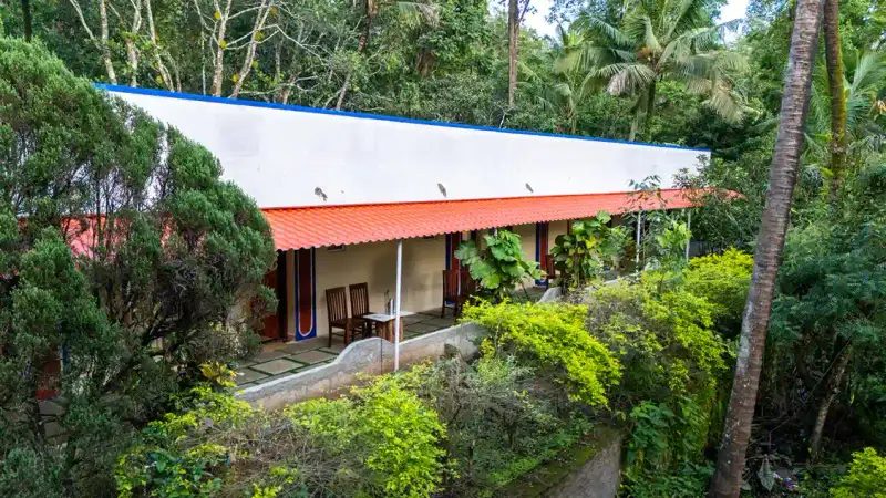 High Trees Jungle Stay