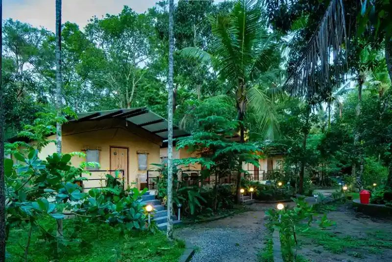 High Trees Jungle Stay