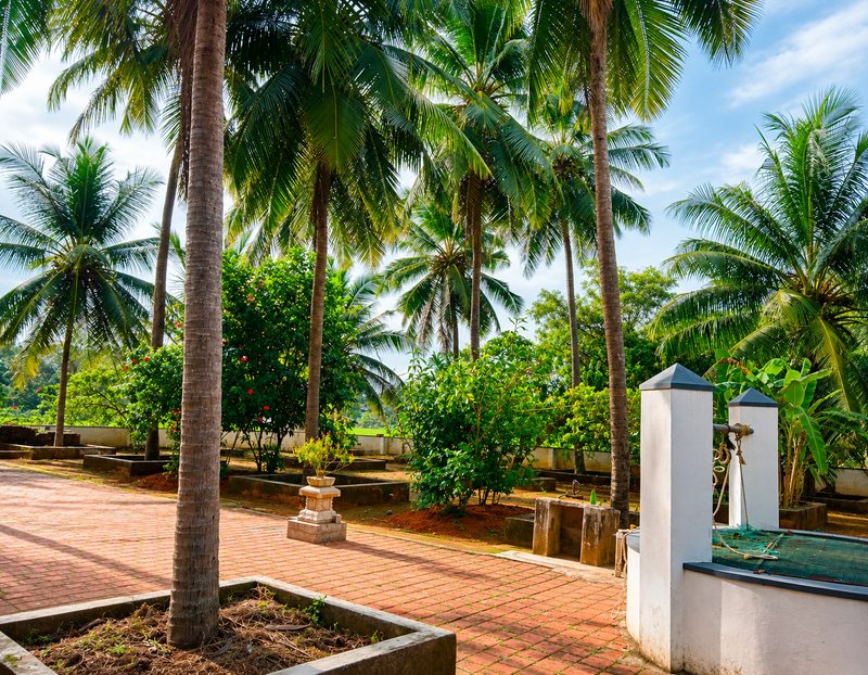 Jayadurga Farms
