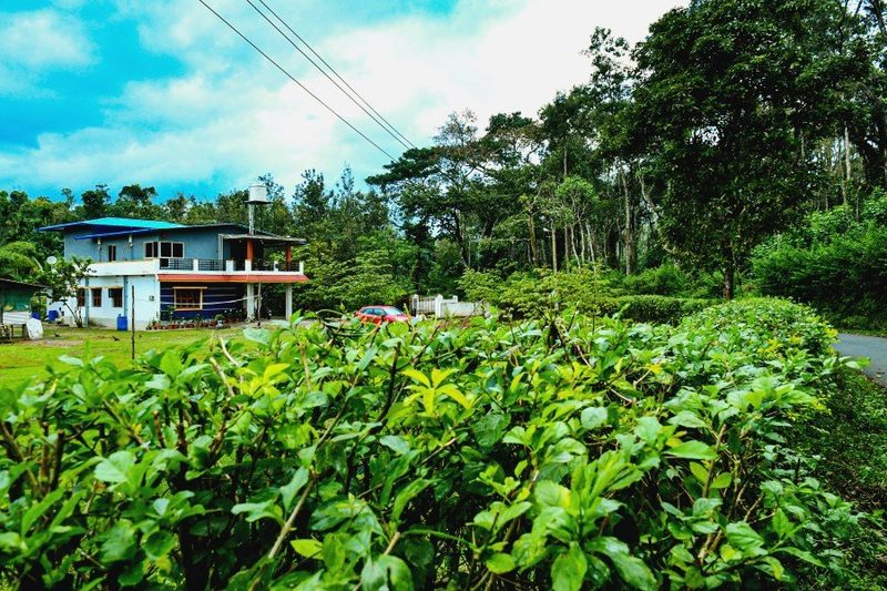 Rainy Cloud Homestay