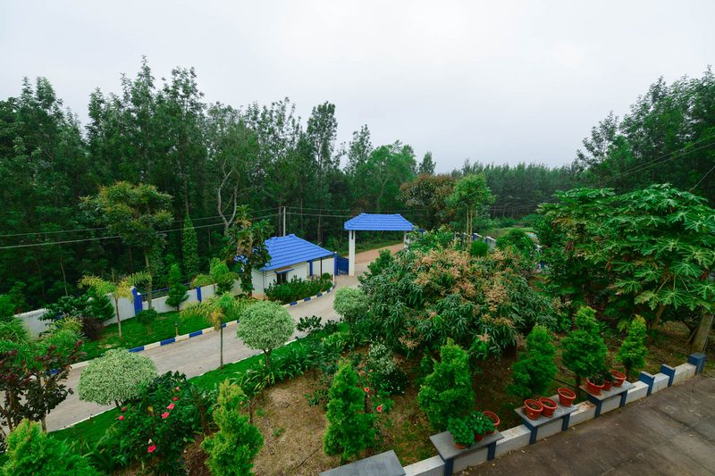 Bluemist Homestay
