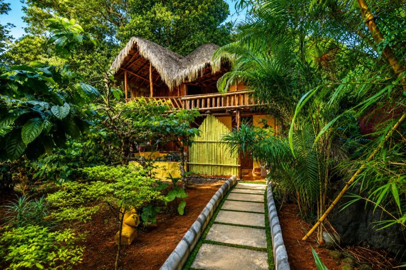 Evergreen County Retreat