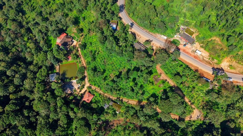 Tashi Farms