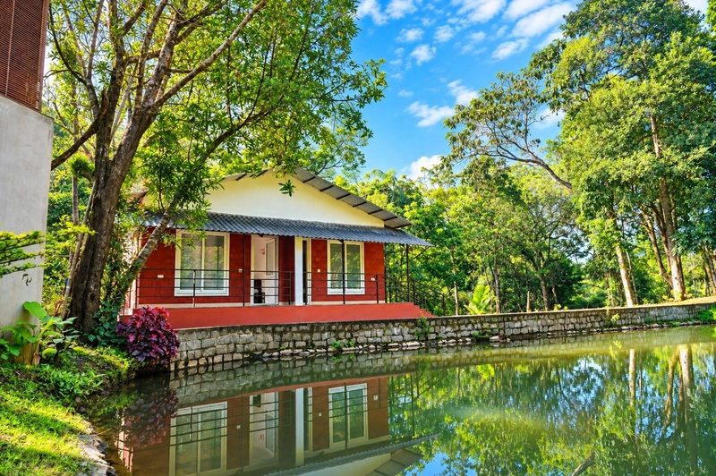 Cottage - Premium