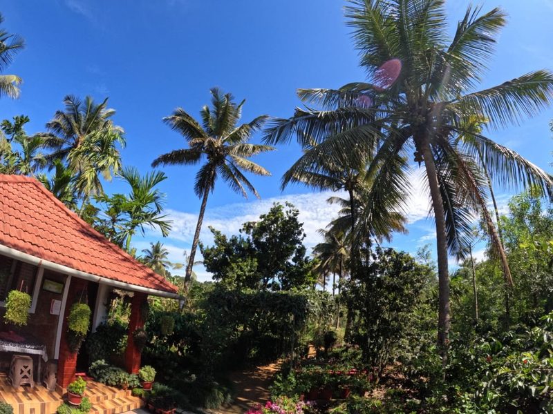 Red Hill Homestay