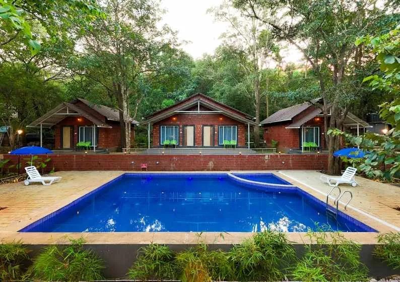 Rain Forest Jungle Stay