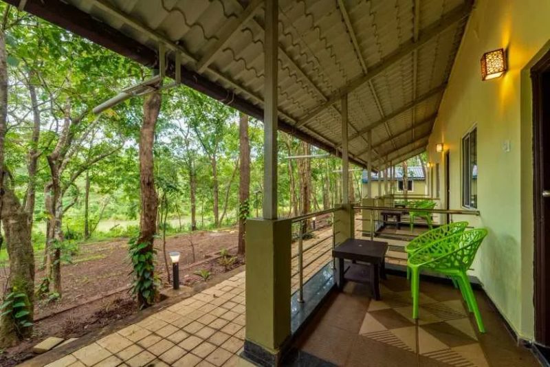 Rain Forest Jungle Stay