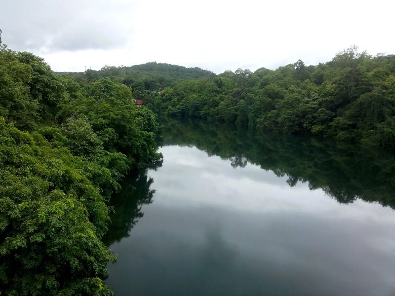 Rain Forest Jungle Stay
