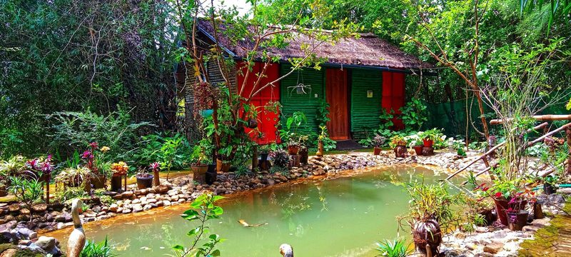 Private Hut with Balcony room