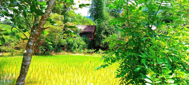 Koomankolly Heritage Resort