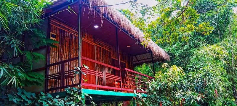 Premium Hut with Balcony room