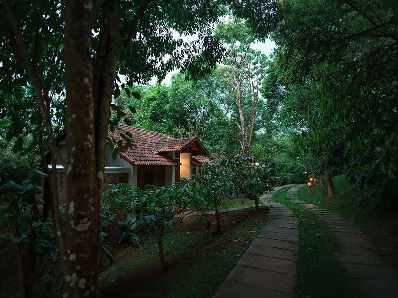 Vythiri Mist Resort