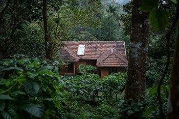 Double Bedroom Bungalow