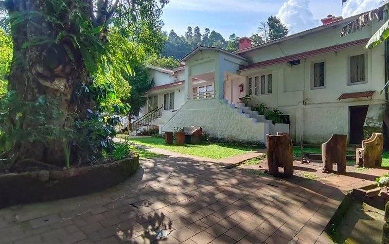 Three Bed Rooms Villa
