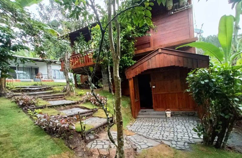 Deluxe Suite wooden house