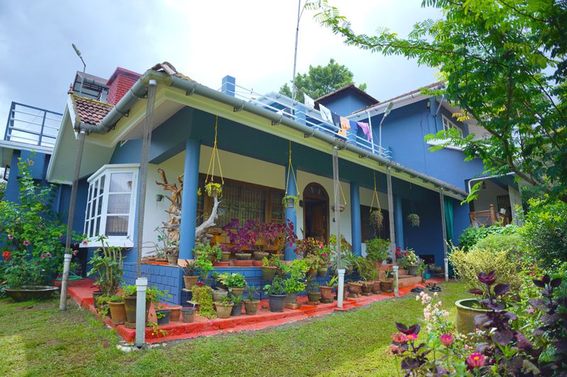 Camellia Premium Homestay
