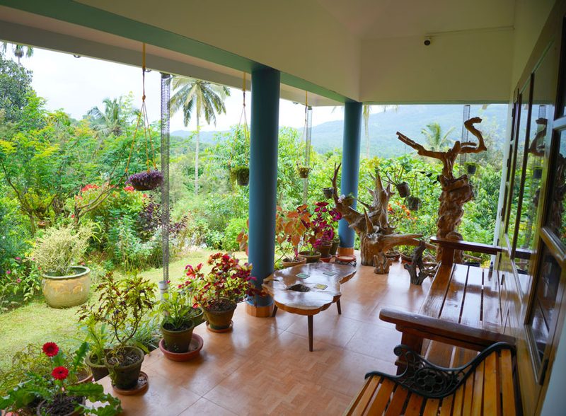 Camellia Premium Homestay