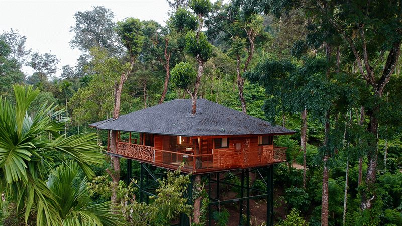 Serenetree Tree Villa