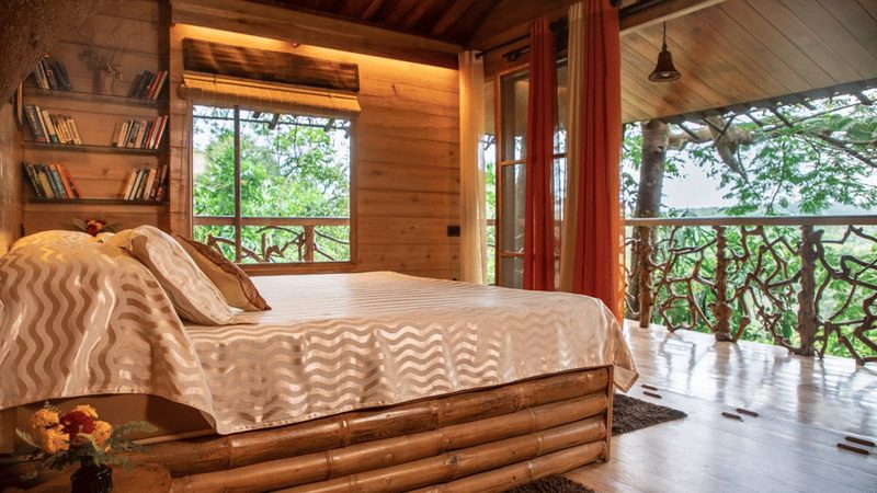Tranquilitree Tree House