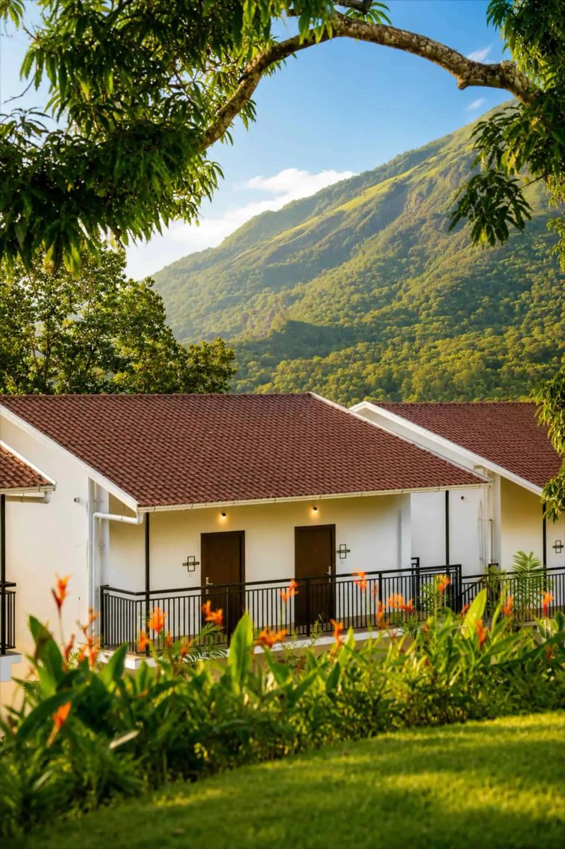 Vega Munnar Resorts