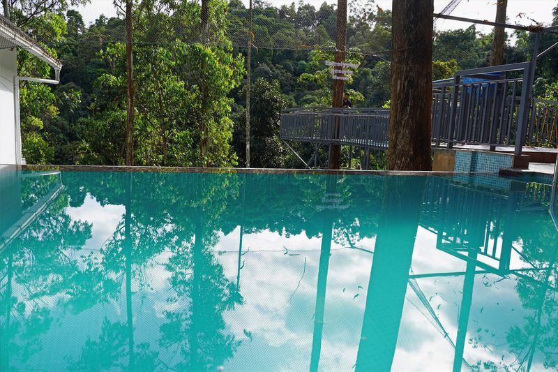 Eucalyptus Resort Munnar
