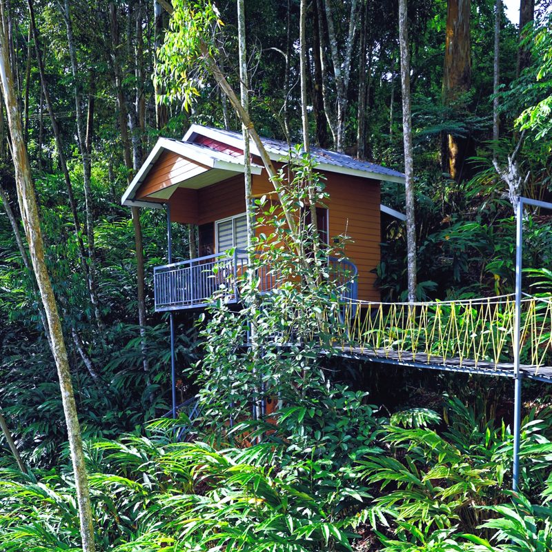 Eucalyptus Resort Munnar