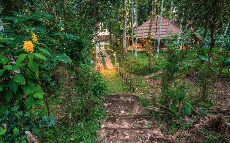 Raindrops Resorts