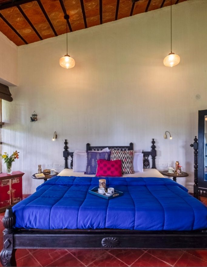 Drongo room