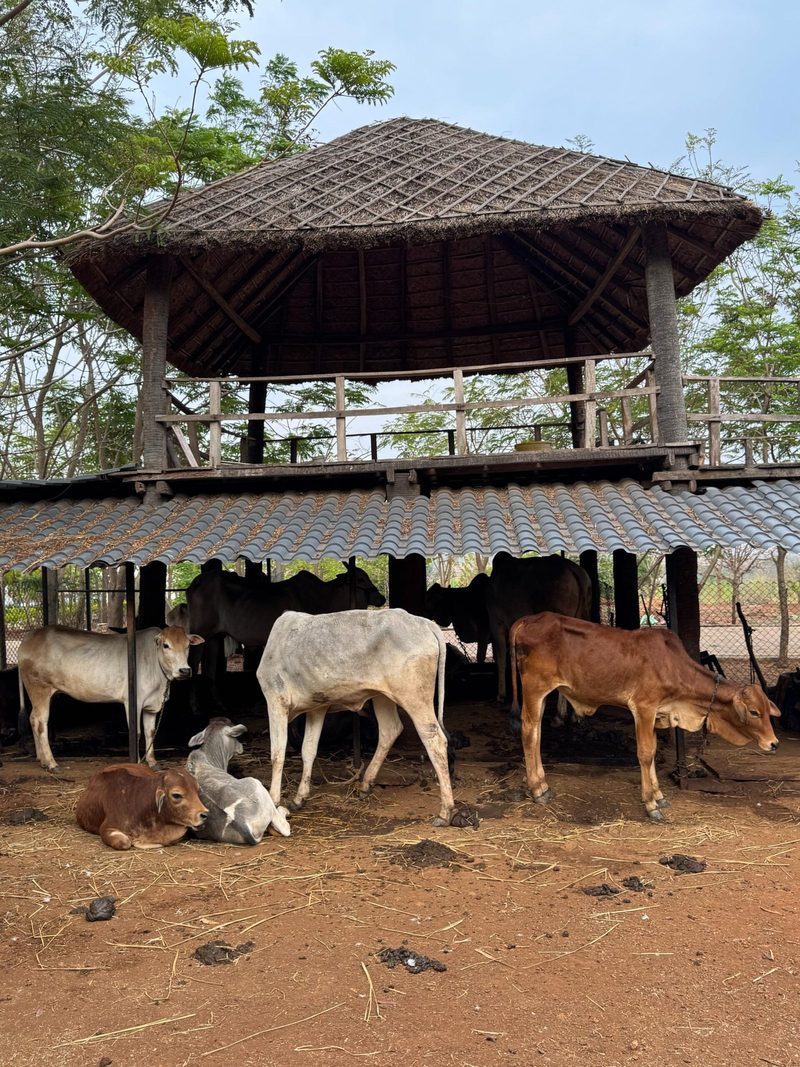 Hillock Resorts