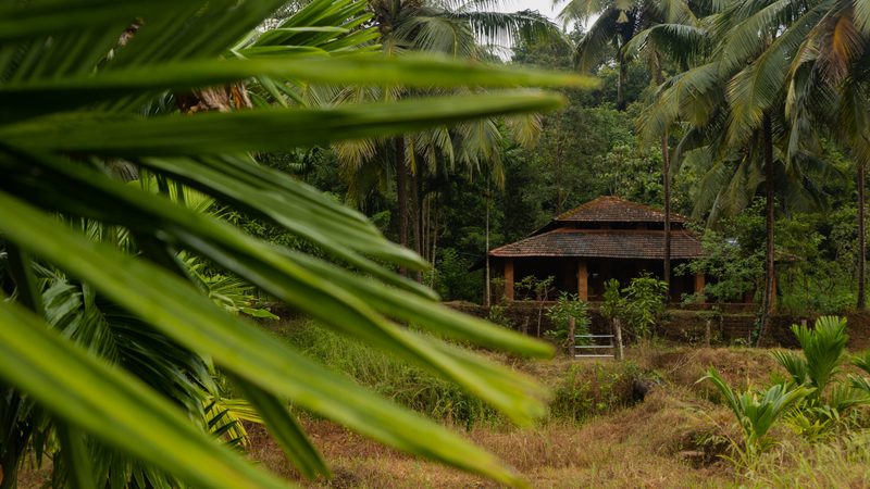 Chandira Nature Stay