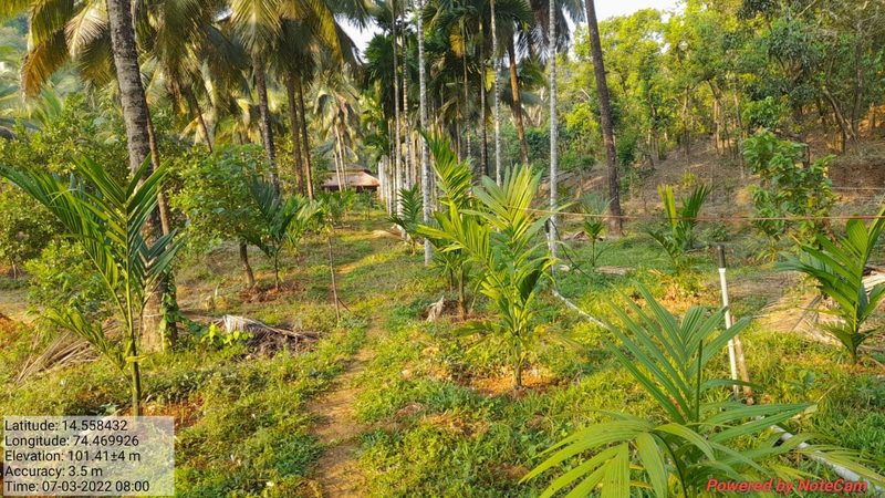 Chandira Nature Stay